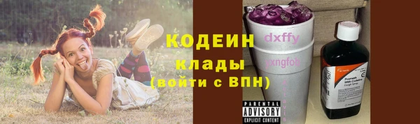 дурь Алексин