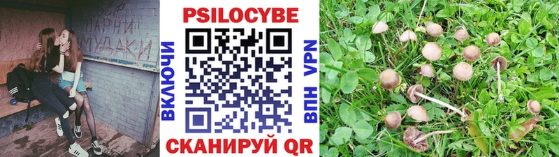 Псилоцибиновые грибы Magic Shrooms  Амурск 